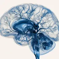 La mente e il cuore in pratica -Sotto lo Schermo: viaggio tra Nomofobia, schermo e sessualità