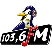 Pinguin FM langsung