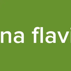 Ana flavia