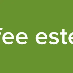 Coffee estereo