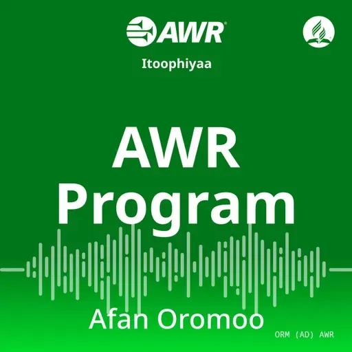 ORMAD_AWRx_20260419_1