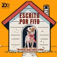 4 Escrito por Fito 17.06.2025