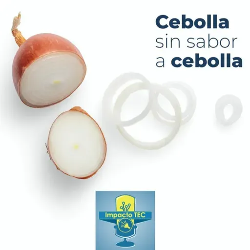 Fructanas de la cebolla, Algo Nuevo 51