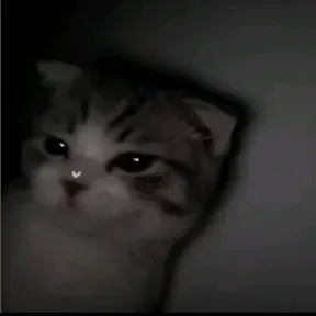 OscarcitoMiusic