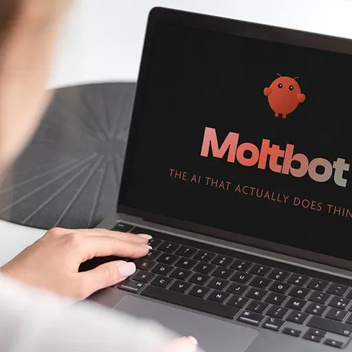 Moltbot - TikTok USA - AI e security