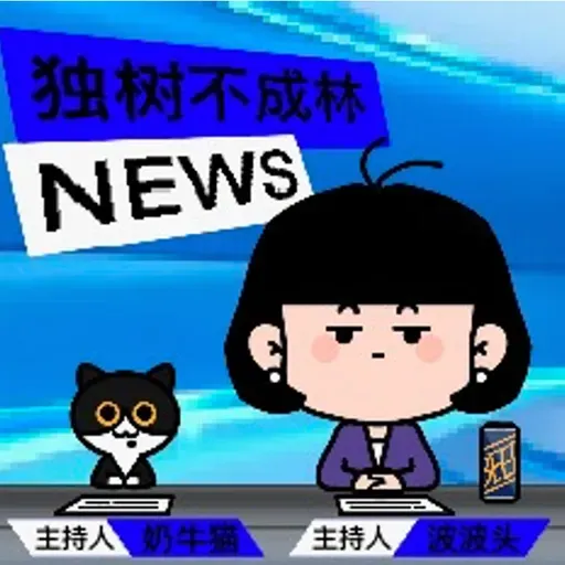 304-沙特阿拉伯过去十年在进行一场怎样的政治改革？