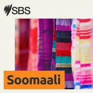 Waraysi: Hassan Jama - Maamulihii laanta Af-Soomaaliga idaacadda SBS oo shaqadii ka tegey