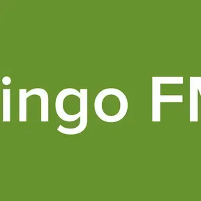 pingo FM