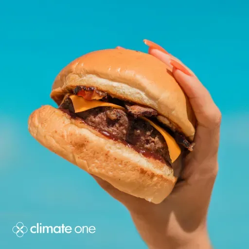 Medium Rare: What’s Next For Meat?