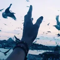 #368. Mektûba Zîzê: Heta Xatirxwestinê