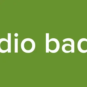 radio badin