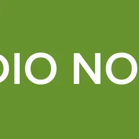 RADIO NOVEL