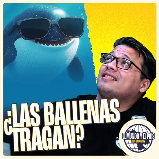 ¿Las ballenas tragan?