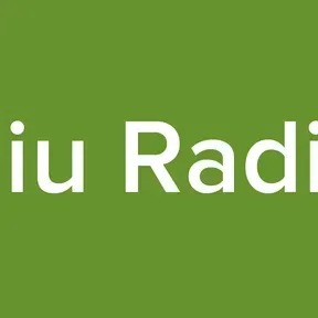 Niu Radio