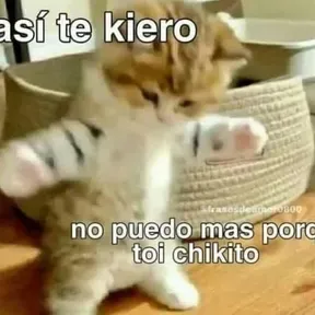 Luis motax