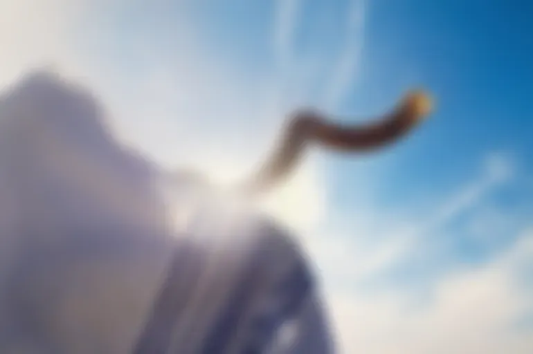 Siervos De Dios