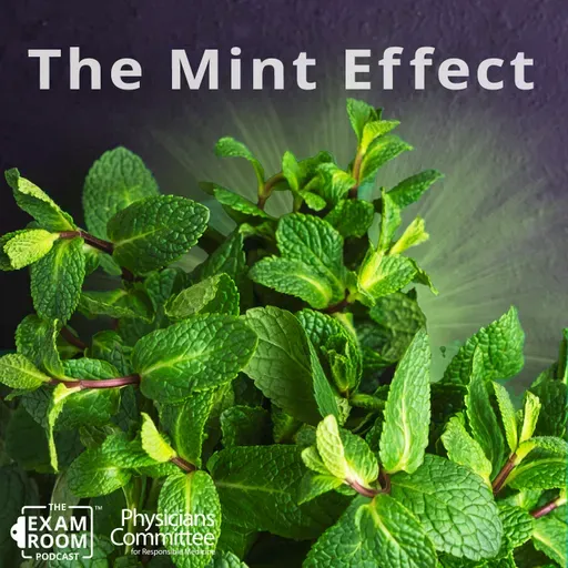12 Surprising Health Benefits of Mint | Dr. Hana Kahleova