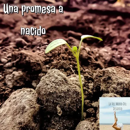 Una promesa a nacido