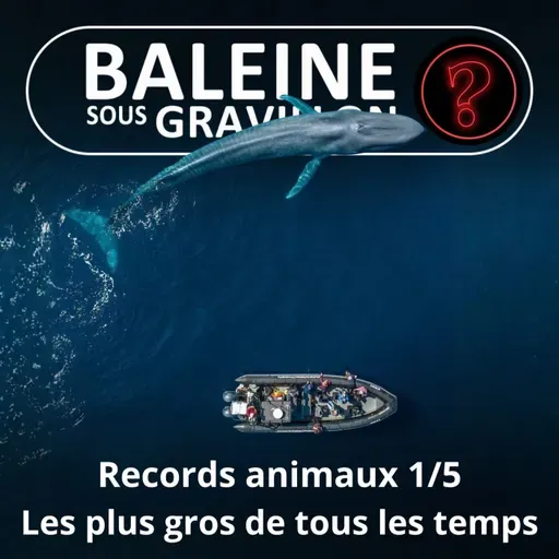S07E144 Vous avez dit bizarre ? Records 1/5 : Les plus gros animaux de tous les temps