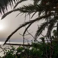 VIENTO DE LEBECHE T03C053 La despedida (02/09/2024)