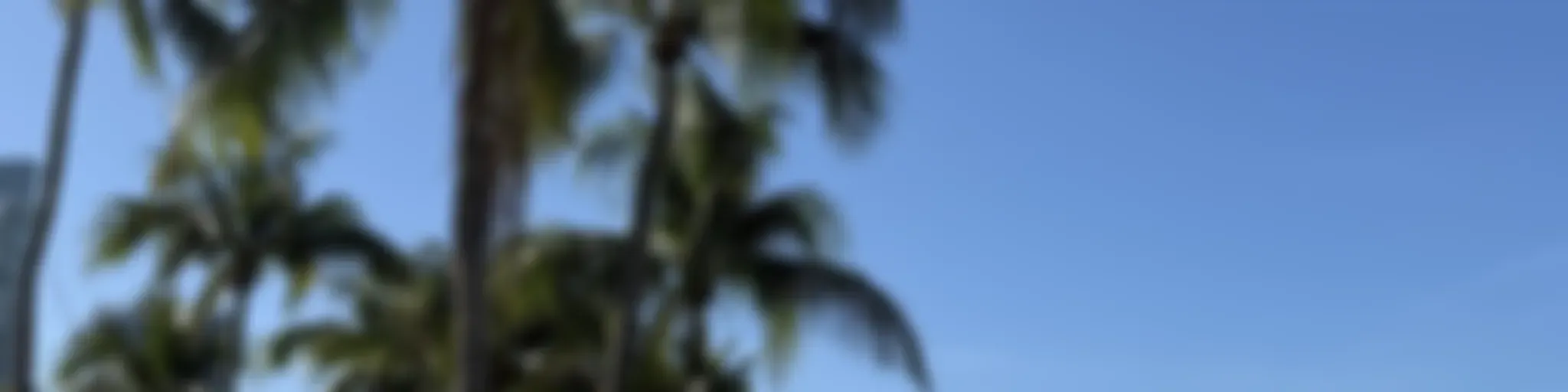 IPUL North Lauderdale Mensaje Diario