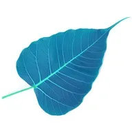 Walking in the Wilderness: Working with Doubt