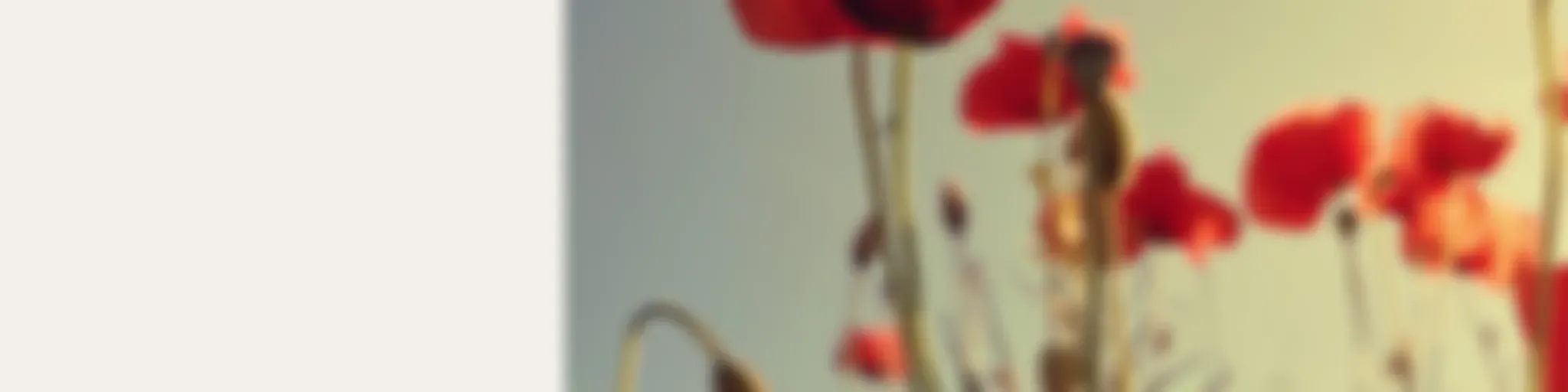 SBS Kurdish - SBS Kurdî