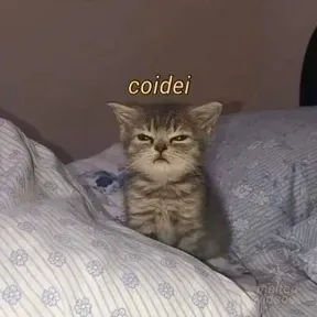 Memess