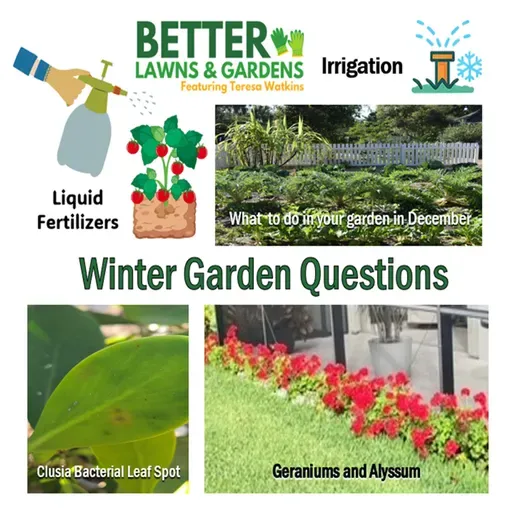 S2 Ep409: Better Lawns and Gardens - Hour 1 Garden Questions December 13, 2025