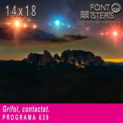 Grifol, contactat | Font de Misteris 14x18 (639)