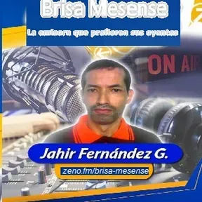 BRISA MESENSE