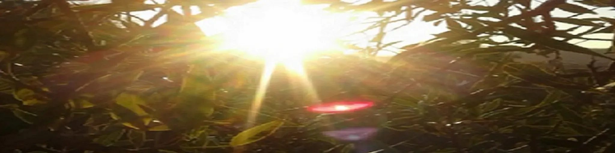 Larga Vida Al Sol