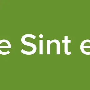 De gekke Sint en Pieten