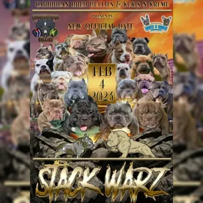 S1 Episode 2 - StackWarz (02/04/2023)