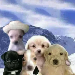 Regué ton