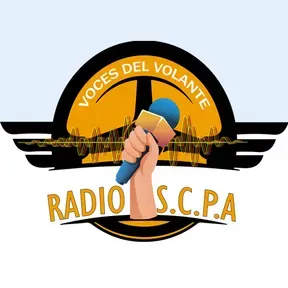 Voces Del Volante