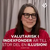 435. Valutarisk i indexfonder är till stor del en illusion!