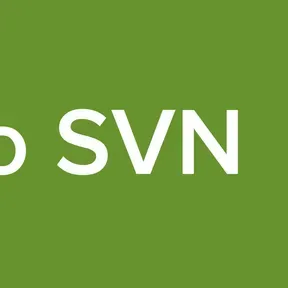 Radio SVN  relay