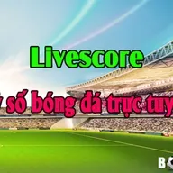 Ty So Bong Da Hom Nay – Cap Nhat Lien Tuc Chinh Xac