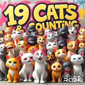 19 Cats and Counting on Pet Life Radio (PetLifeRadio.com)