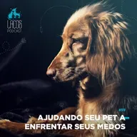 #59: Ajudando seu pet a enfrentar seus medos