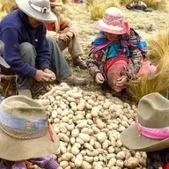 Promocionando un estilo de vida saludable considerando las potencialidades alimentarias