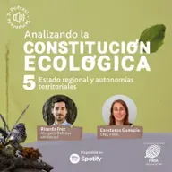 Estado regional y autonomías territoriales