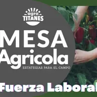Mesa Agricola, Fuerza Laboral