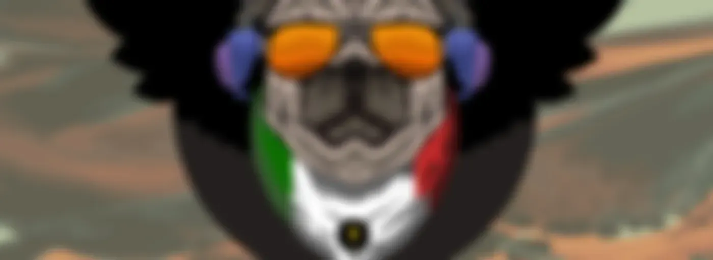 Radio Pug