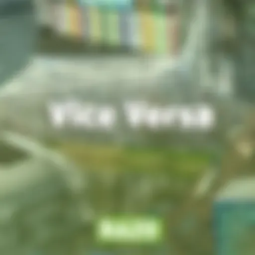 Vice Versa (obaatan pa)