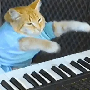 Keyboard Cat Radio