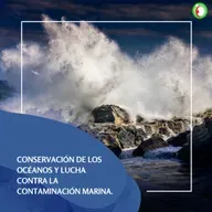 Conservación de los Océanos y lucha contra la contaminación marina.