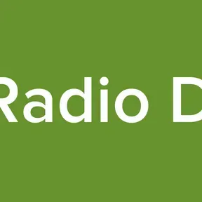 Elsy Radio Digital