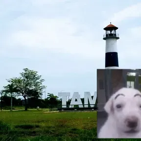 Giovannixddd